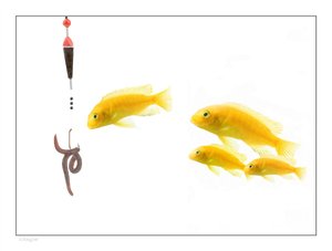 数字化转型深度科普：云计算如何重塑企业流程